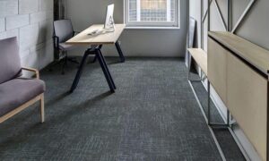 Office Carpets Enhancing Productivity and Workplace Environment